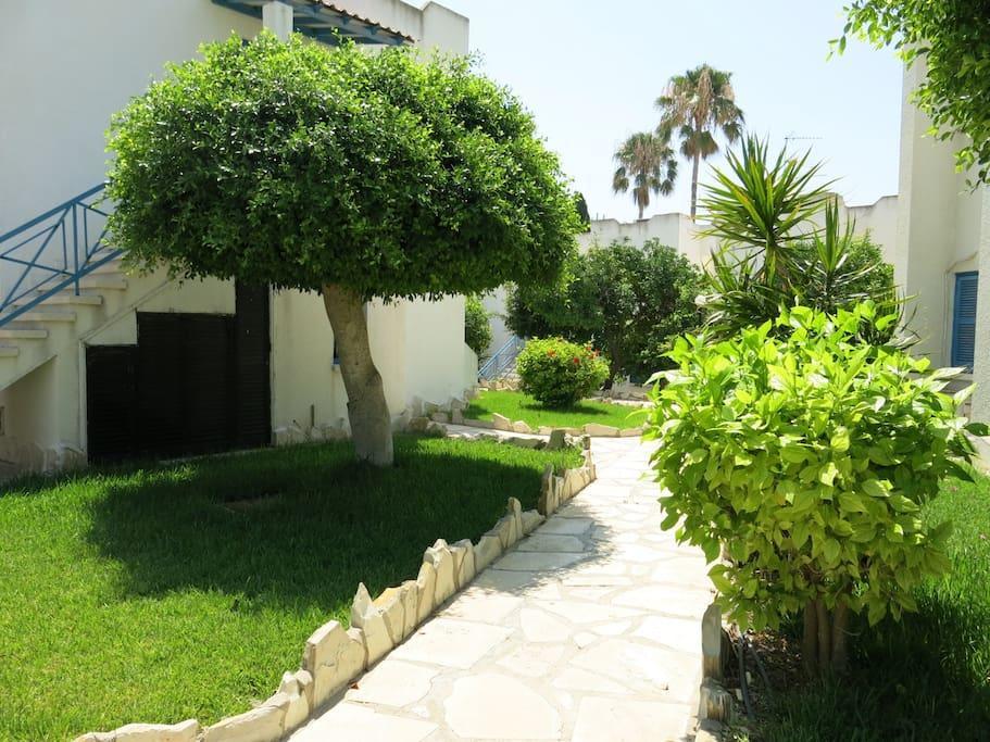 Dhekelia Diamond Lárnaca Exterior foto