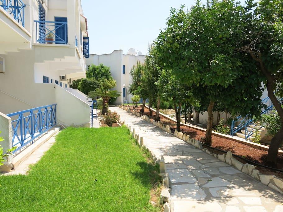 Dhekelia Diamond Lárnaca Exterior foto